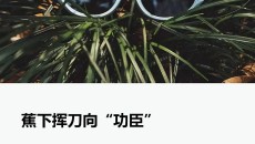杨幂抢救失败,200亿大网红撑不住了