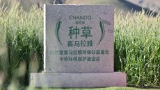 “种草”范本!TA为中国美妆可持续发展立标杆